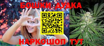 spice Кандалакша