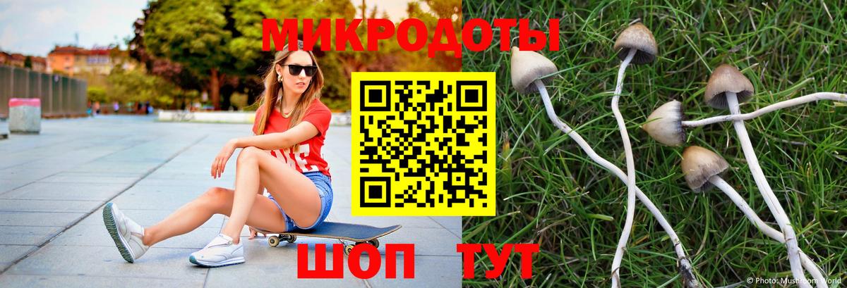 Галлюциногенные грибы Psilocybe  Вход с VPN  Лениногорск 